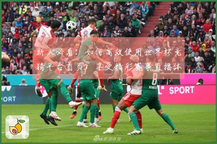 新人必看：如何高效使用世界杯竞猜平台首页，享受精彩赛事直播体验！