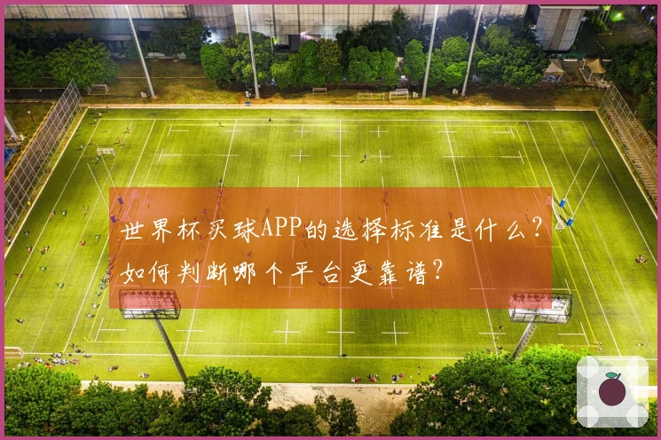 世界杯买球APP的选择标准是什么？如何判断哪个平台更靠谱？