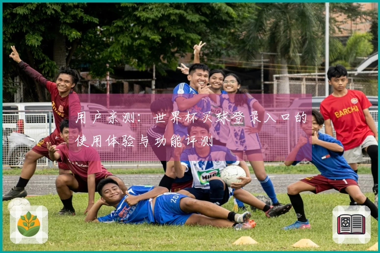 用户亲测：世界杯买球登录入口的使用体验与功能评测