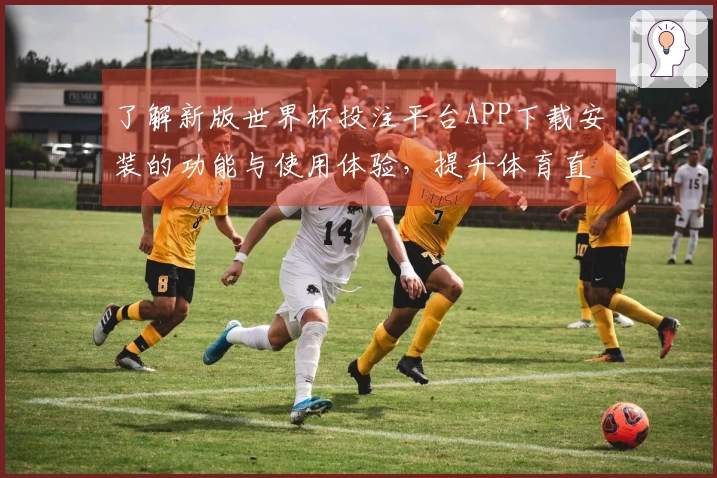 了解新版世界杯投注平台APP下载安装的功能与使用体验，提升体育直播的乐趣