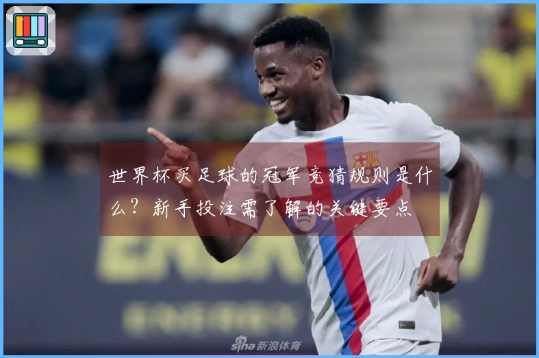 世界杯买足球的冠军竞猜规则是什么？新手投注需了解的关键要点