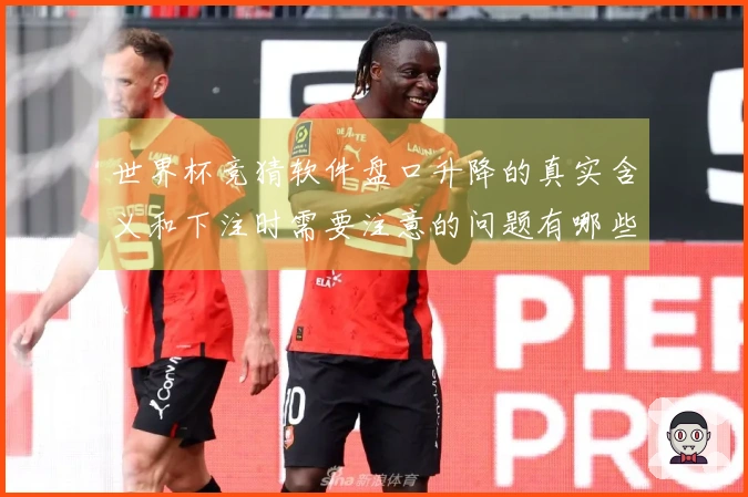 世界杯竞猜软件盘口升降的真实含义和下注时需要注意的问题有哪些