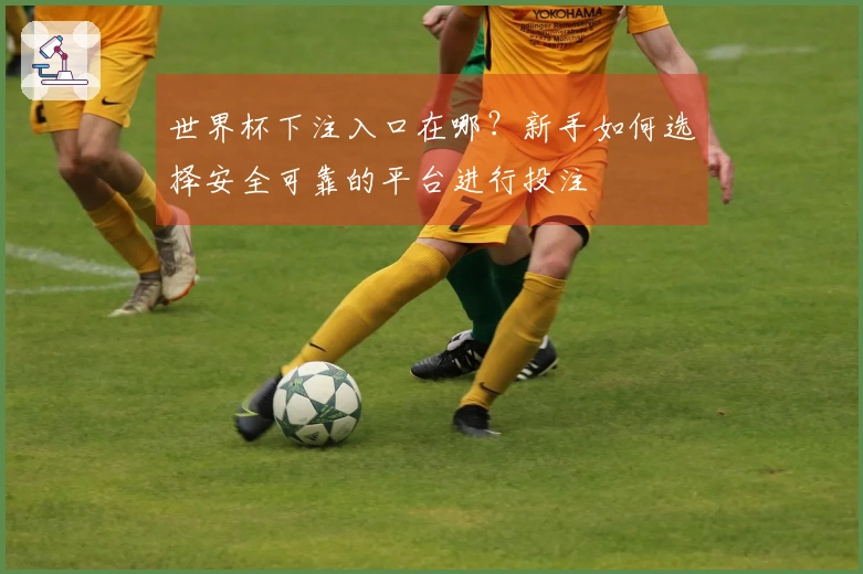 世界杯下注入口在哪？新手如何选择安全可靠的平台进行投注