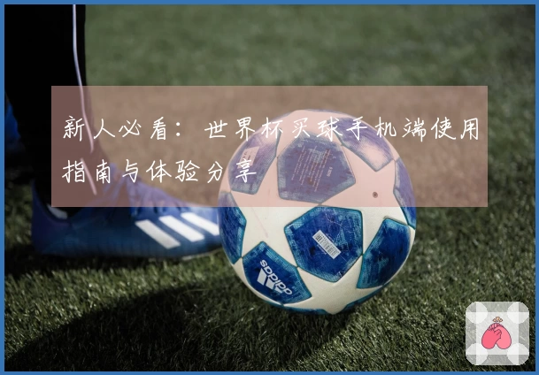 新人必看：世界杯买球手机端使用指南与体验分享