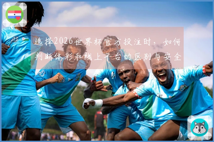 选择2026世界杯官方投注时，如何判断体彩和线上平台的区别与安全性？