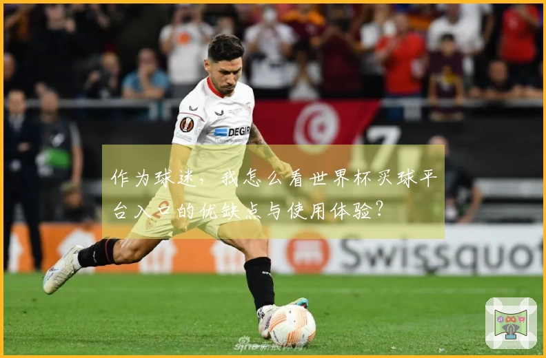 作为球迷，我怎么看世界杯买球平台入口的优缺点与使用体验？
