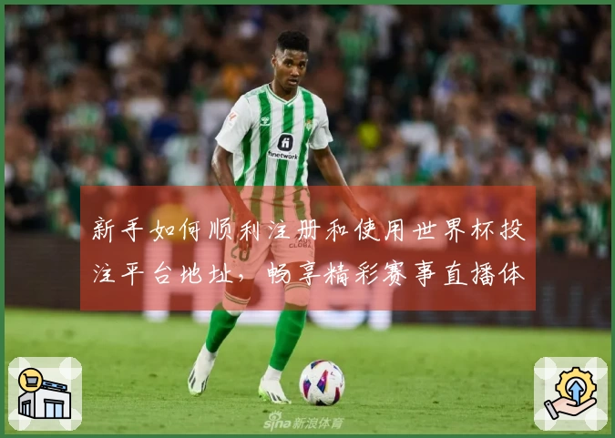 新手如何顺利注册和使用世界杯投注平台地址，畅享精彩赛事直播体验