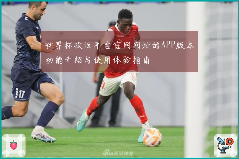 世界杯投注平台官网网址的APP版本功能介绍与使用体验指南