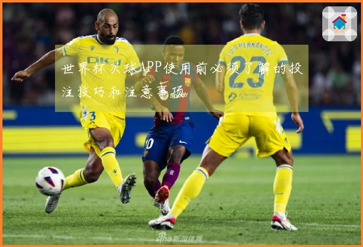 世界杯买球APP使用前必须了解的投注技巧和注意事项
