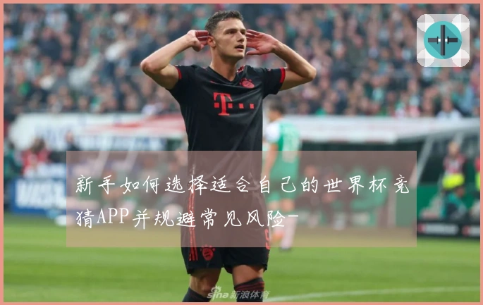 新手如何选择适合自己的世界杯竞猜APP并规避常见风险-