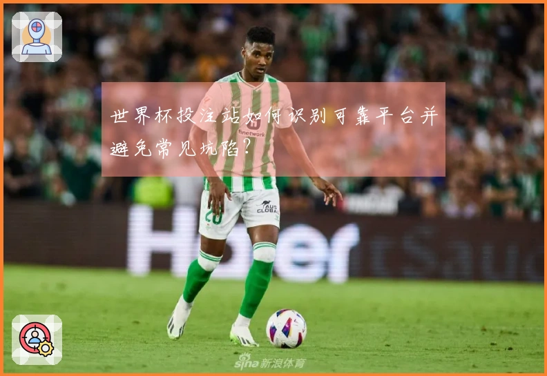 世界杯投注站如何识别可靠平台并避免常见坑陷？