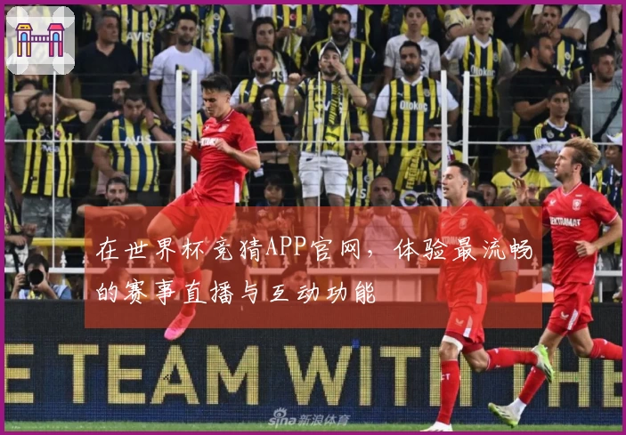在世界杯竞猜APP官网，体验最流畅的赛事直播与互动功能