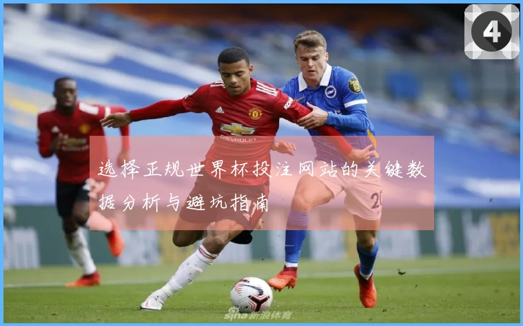 选择正规世界杯投注网站的关键数据分析与避坑指南