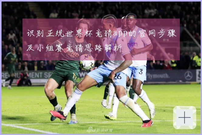 识别正规世界杯竞猜app的官网步骤及小组赛竞猜思路解析