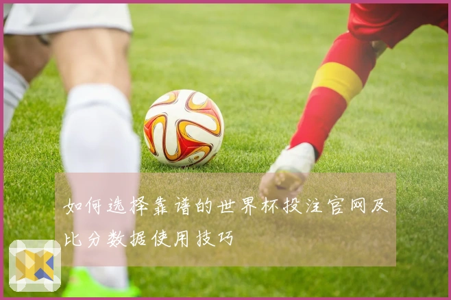 如何选择靠谱的世界杯投注官网及比分数据使用技巧