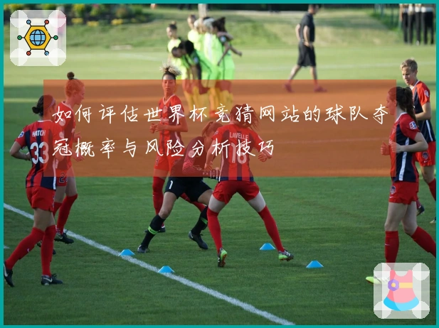 如何评估世界杯竞猜网站的球队夺冠概率与风险分析技巧