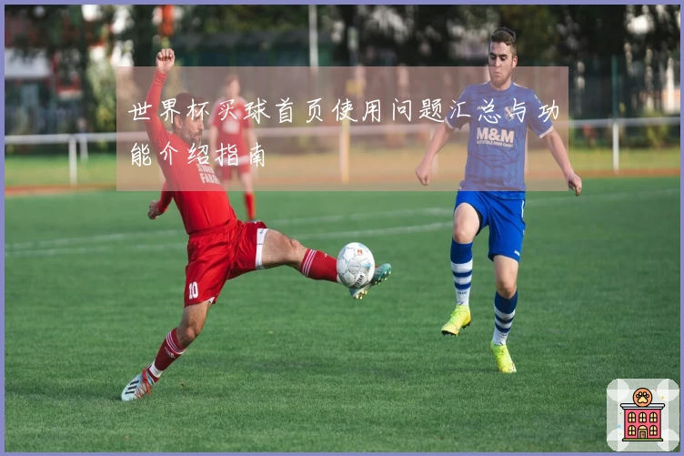 世界杯买球首页使用问题汇总与功能介绍指南