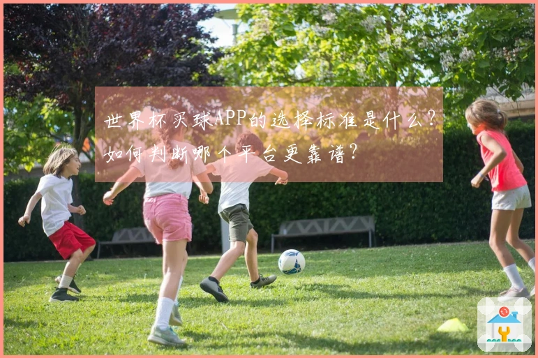 世界杯买球APP的选择标准是什么?如何判断哪个平台更靠谱?